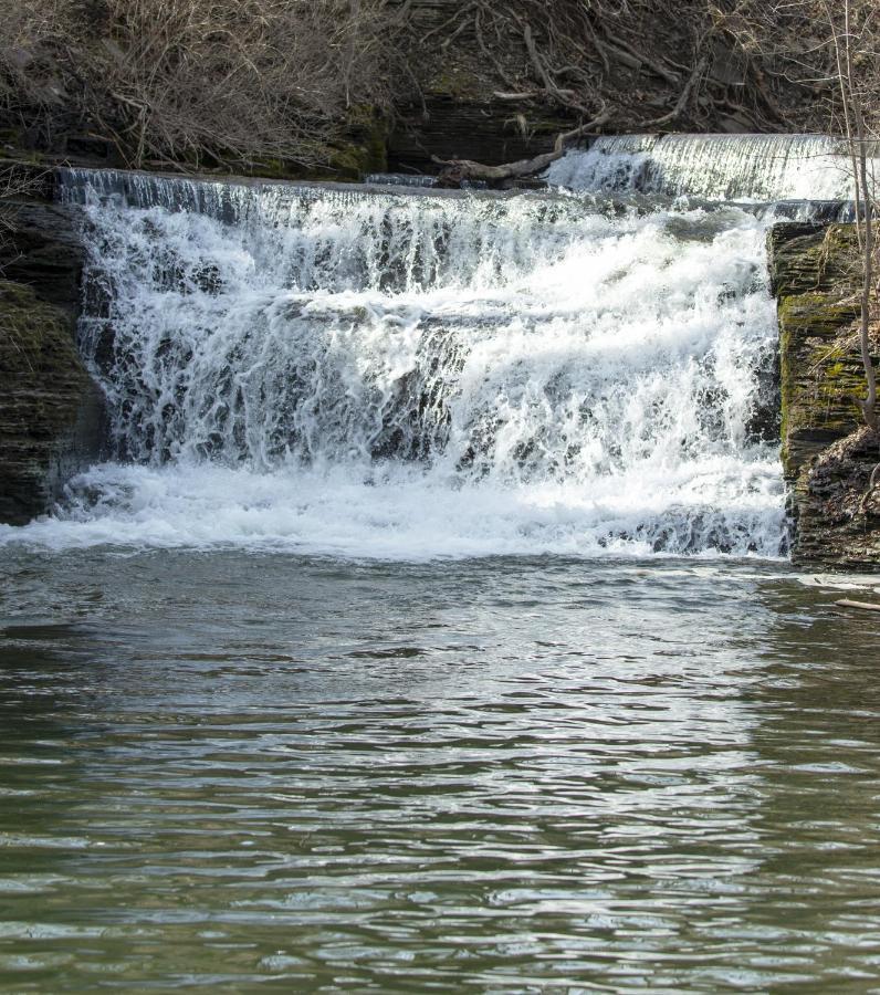 The Overlook At Falls Burdett